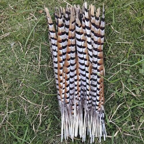 Wholesale 100pcs High Quality 20-22inch/50-55cm Natural Copper Tail Chicken Feathers Stage Performances Craft Making Decoration