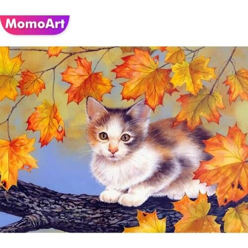 MomoArt 5D DIY Diamond Painting Cat Cross Stitch Full Square Diamond Embroidery Sale Animal Rhinestone Pictures Craft Kit
