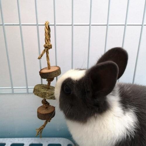 1pcs Parrot Chew Block Bite Resistant Wooden Rabbit Chewing Toy Multicolor Parrot Hanging Toy Pet Supplies