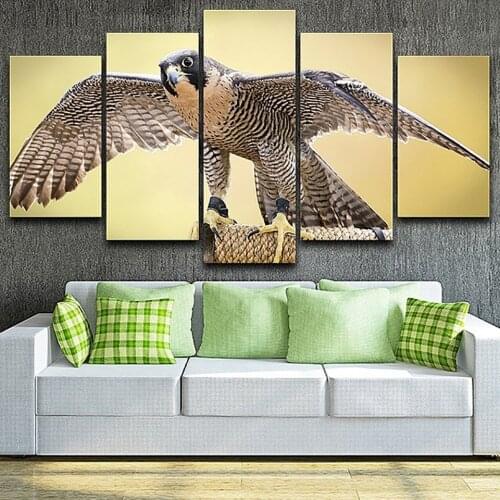 Posters Picture On Canvas Wall Art Home Frame 5 Panel Falcon Animal Modular Decoration Living Room HD Printed Modern Painting