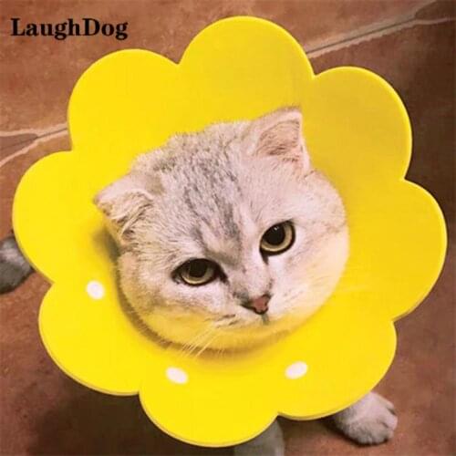 LaughDog Products For Cats