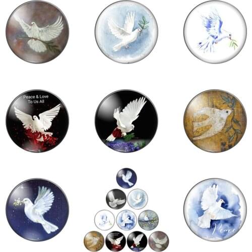 Peace Dove Carries An Olive Branch Round Photo Glass Cabochon Demo Flat Back Making Findings Handmade DIY Accessories