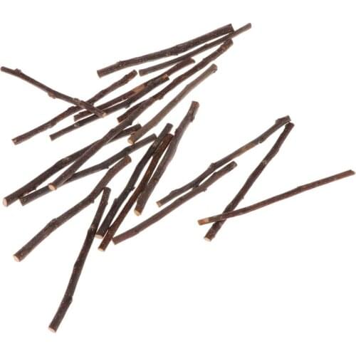 20pcs Chew Stick Apple Tree Branch Hamster Squirrel Natural Toys Parrots Rabbits