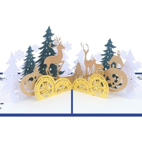 SIBAOLU Individual Gift Wrapping And Cards