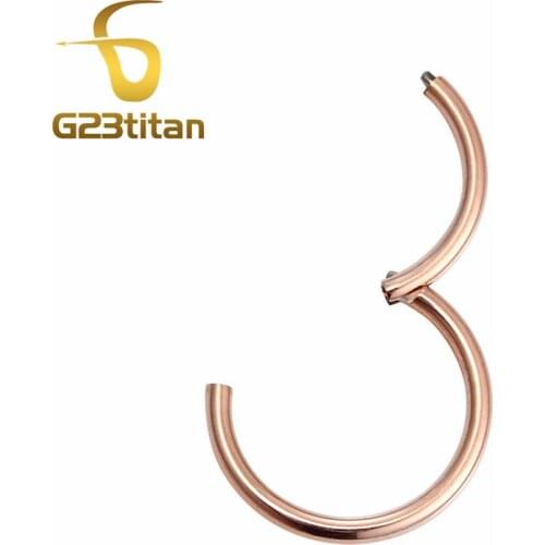 G23titan 18G Hinged Segment Seamless Ring for Nose Septum Ear Piercing Hoop Nose Studs Rings Generic Body Pircing Jewelry