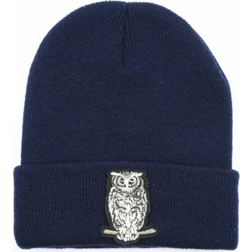 LDSLYJR Owl animal embroidery Thicken knitted hat winter warm hat Skullies cap beanie hat for men and women 169