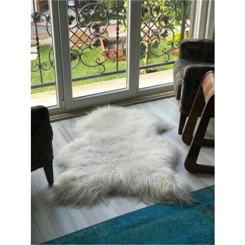 Pavrika Home Improvement Products