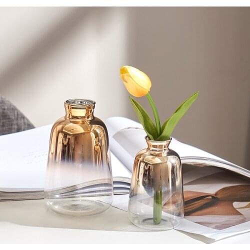 Nordic Glass Vase Creative Gradient Vase Golden Decoration Dried Flowers Hydroponic Vase Terrarium Glass Modern Decorative Vases