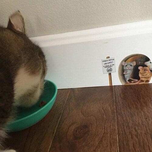 No Cats Scaredy Mice Mouse Hole Wall Sticker Decal Cute Novelty Wall Paper Home Decoration Dropship Home Decoration Stickers