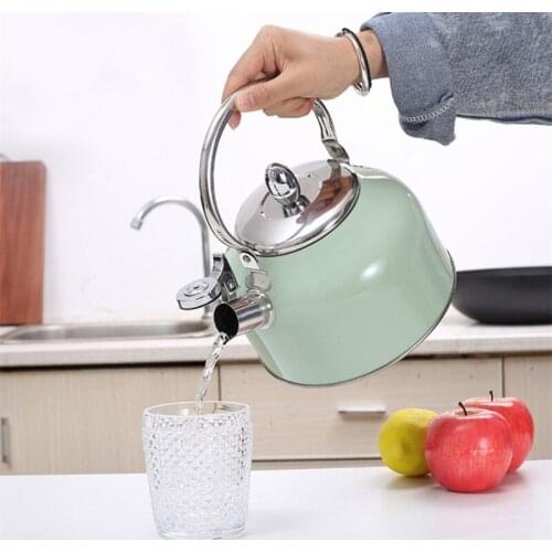Creative Whistling Kettle Stainless Steel Tea Pot Large Capacity Office Water Bottle Kitchenware For Gas Stove Induction Cooker