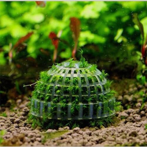 1PC Aquarium Decoration Live Plants Fish Tank Media Moss Ball Moss Tree Filter For Fish Tank Aquatic Pets Balls Ornament
