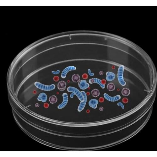 10PCS/Pack Clear Transparent Sterile Plastic Petri Dishes with Cover Plate Dish Laboratory Tissue Supplies