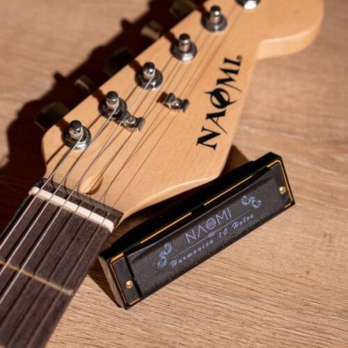 Hoodoo Blues Harmonica 3-Pack with Case C D G Key Harmonica Set