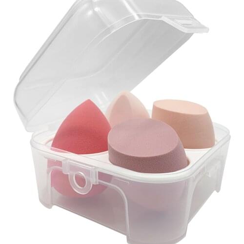 Mollie Lipper Sponges