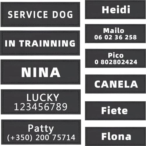 2 Pcs Personalized Cat Dog ID Tags Dog Harness Dog Name Custom Pet Harness Collar Label Sticker Patch Custom Pet Accessories