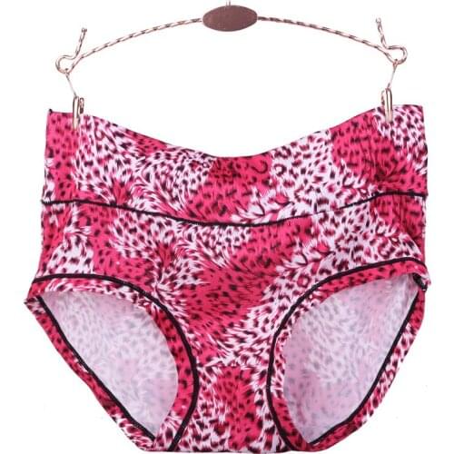 Sexy Seamless Crotch Panties for Women Underwear Briefs Cotton Sexy Cotton Womens Panties Briefs Leopard Girls Underwear