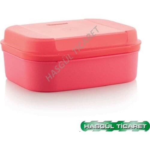 Tupperware STORAGE BOWL COOKIES PIES NUTRITION KABI MİDİ HSGL