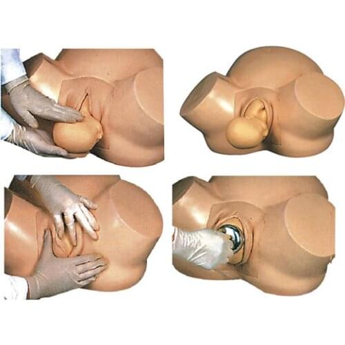 Midwifery training model child deliver teaching equipment Dystocia delivery Model: KF-F8