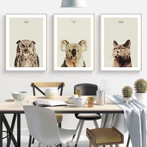 Nordic Canvas Painting Art Decor Painting Animal Owl Cat Koala Picture Print Poster Living Room Bedroom Decor Poster Painting