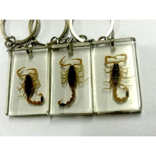 30 pcs golden scorpion jewelry square style biker keychain
