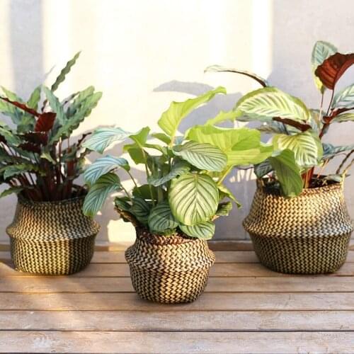 3PCS Stripes Straw Storage Basket Folding Rattan Basket Eco-Friendly Clothes Laundry Toys Organizer Container Household Decor