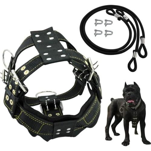 Durable Dog Harness and Leash for Medium Large Dogs Heavy Duty French Bulldog Harness Vest Nylon Training Dog Harness Leads