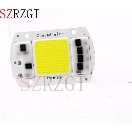 220V 50W Smart IC Integrated LED Grow Light Lamp Chip COB Warm/Cold White For led DIY