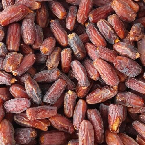 High quality Medina palm Mebrum super large size 200-900 grams free shipping