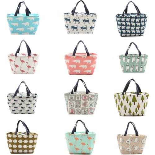Lunch-Bags For Kids Insulated Lunch Bags Cartoons Cooler Picnic Tote Bag 2-4 Person For Women Girls Thermos Food