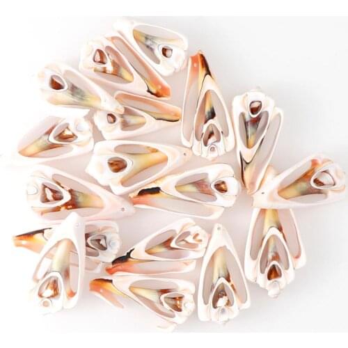 5Pcs/set DIY Natural Shell Conch Beads With Hole/No Hole Jewelery Craft Accessories holes Small Bulk Cut Beach Sea Shell Charm