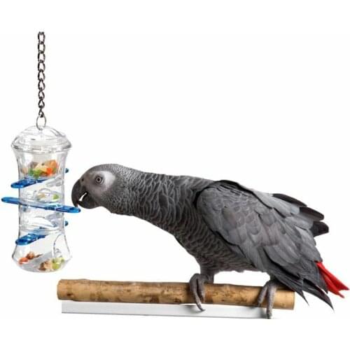 Parrot Toys Push and Pull Bite Resistant Interactive Treat Holder Foraging Bird