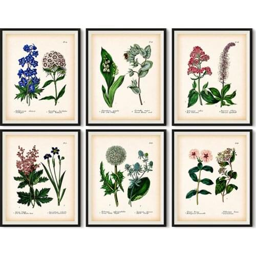 Antique Botanical Canvas Art Posters and Prints , Vintage Botanical Wall Art Painting Pictures for Living Room Home Decor