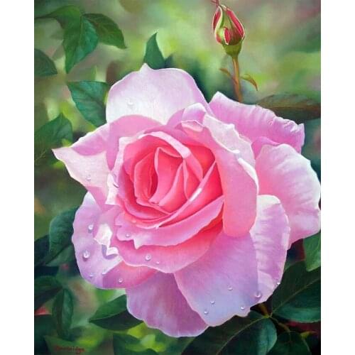 Needlework 5d Diy Diamond Painting Cross Stitch pink rose flower Diamond Embroidery sale Full Square Diamond Mosaic art