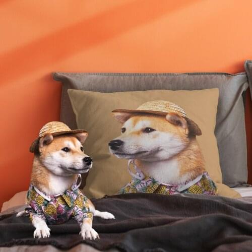 Cat dog photo customized cushion cover pillowcase home sofa bed car cartoon creativity INS double-sided home decor decoration