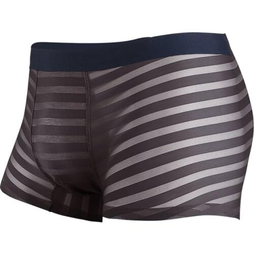 Mens Boxers Sexy Gay Underwear Transparent Ice Silk Panties Man Comfortable Pouch Underpants Male Plus Size Boxershorts Homme