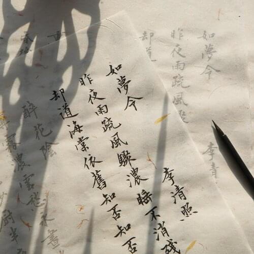 Flower Fiber Xuan Paper Heart Sutra Copybook 20sheet Chinese Poem Brush Calligraphy Copybook Small Regular Script Copybook