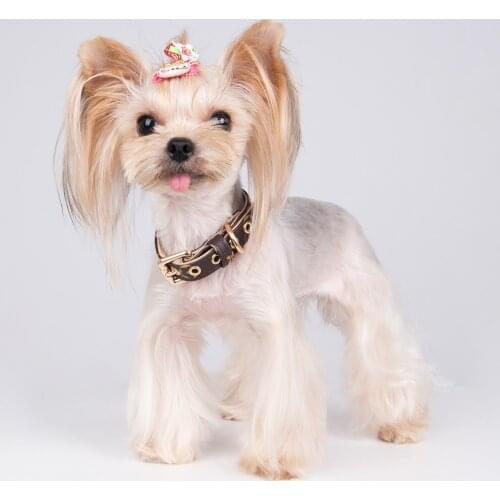 Dog Leash and Collar Set Designer Dog Accessories French Bulldog Schnauzer Corgi Chihuahua Leather Cat Collar Accessories