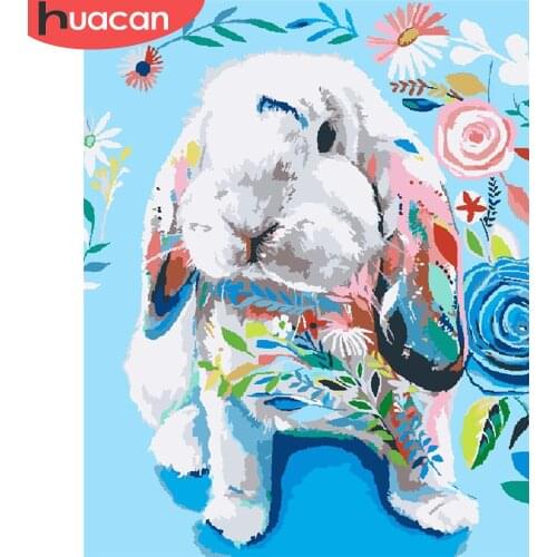 HUACAN Paint By Number Rabbit Hand Painted Painting Art Gift DIY Coloring By Numbers Animal Home Decor 40x50cm