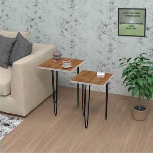 Modern Larose Zigon Coffee Table Okm 2 Li (45*30*30-40*25*25) square coffe table