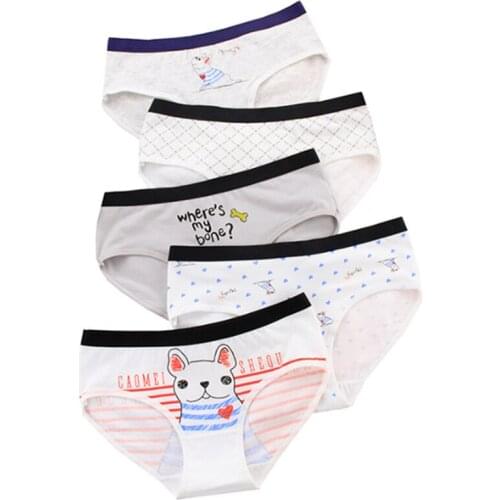 New Arrived 4Pcs/Lot Girl Panties Underwear Lace Briefs Cotton Lingerie Soft Comfortable Bowknot Cartoon Panty Wholesale 670-4