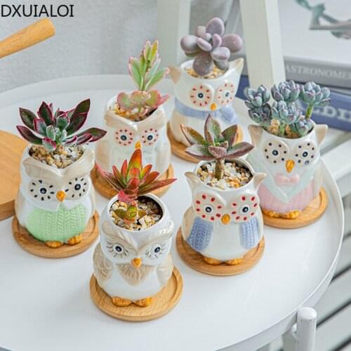 Home decoration simple and elegant owl set ceramic succulent flower pots animal succulents flower pots cute cartoon flower pots