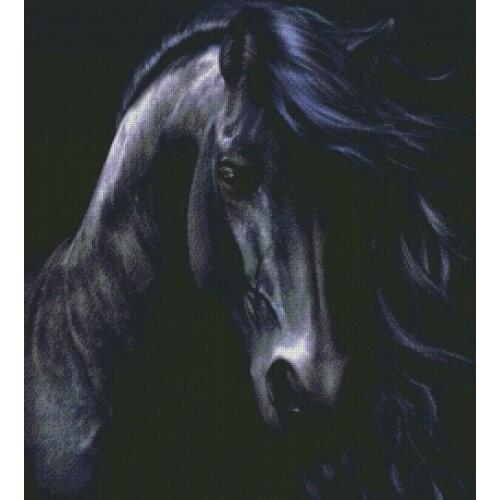 Top Embroidery Counted Cross Stitch Kits Needlework - Crafts 14 ct DMC DIY Arts Handmade Decor -black horse
