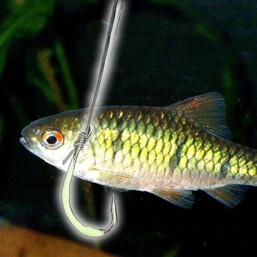 35% Discounts Hot! 30pcs Fishhooks Night Light Hooks Outdoor Sports Luminous Fishing Tackle Fishhook