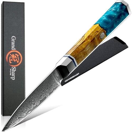3.5 Inch Fruit Knife vg10 Core Paring Knife Damascus Steel Kitchen Knives Japanese Carved Peeling Knife Kitchen Tools GRANDSHARP