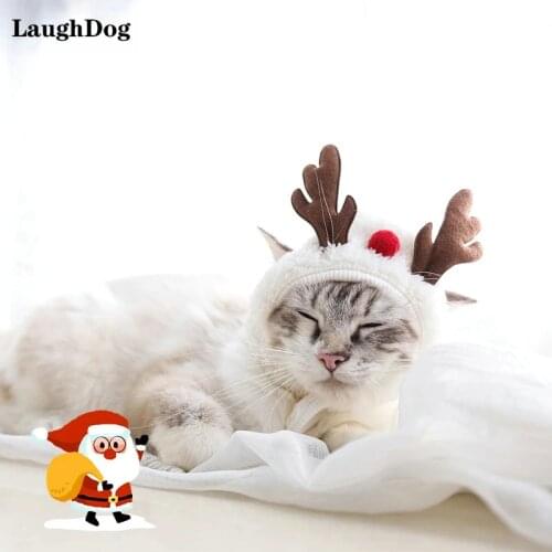 Шапки для собак LaughDog China At AliExpress