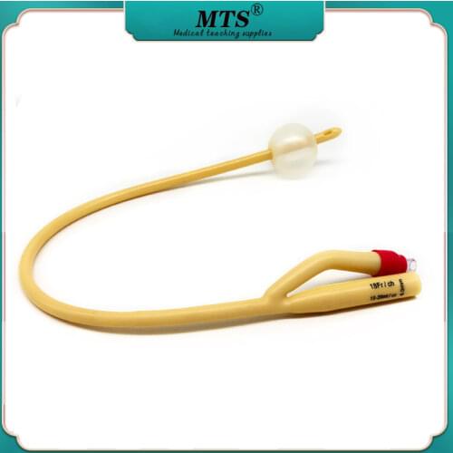 10pcs Latex Foley Catheter 2 Way Silicone Coated Plastic Valve Urology penis Urethral Catheter sizes Fr6 -Fr24 CE and FDA