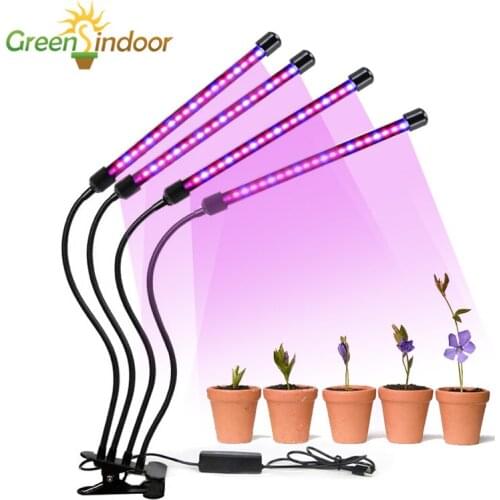 Phytolamp For Plants USB Led Grow Light Timer Full Spectrum Phyto Lamp For Seedlings Growing Flowering 5V Lamp For Plants Home