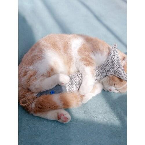 Cat toy fish cat nip funny cat stick kitten pillow pet simulation cat cat molar cat self-hey toy supplies