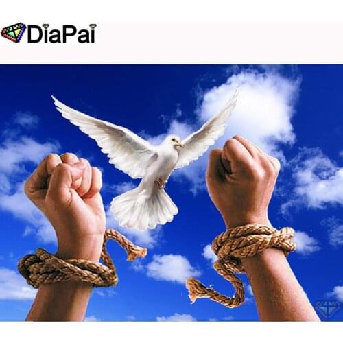 DIAPAI Diamond Painting 5D DIY 100% Full Square/Round Drill "Hand bird sky rope" Diamond Embroidery Cross Stitch 3D Decor A23698