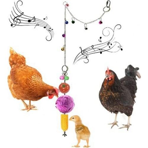 High Hardness Chicken Feeding Hens Chicken Vegetable Hanging Feeder for Pet